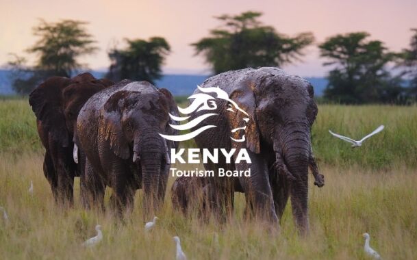 Elephants and birds in Kenya's nature and logo of Kenya Tourism Board