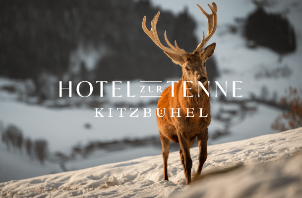 Photo of a stag and logo of Hotel zur Tenne Kitzbühel
